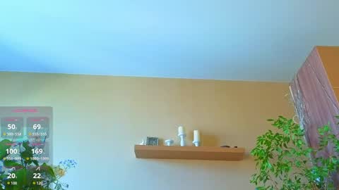 Sophia online show from June 2026 03:46:01 AM
