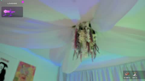       Telegram Channel channelofmers Subscribe schedule 600 am 1200 am Colombia time online show from December 2024 02:27:01 PM