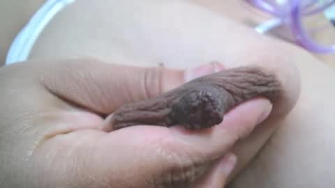 Snapshot of _miaaleon chatting on March 2025 07:27:02 PM Mia online show from March 2025 07:27:02 PM