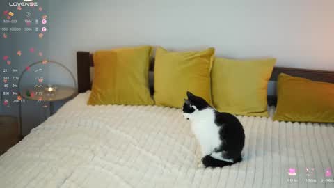 Snapshot of _million_dollarsmile chatting on December 2025 12:43:02 PM _million_dollarsmile online show from December 2025 12:43:02 PM