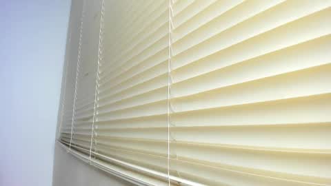 Snapshot of _molly_rosse_ chatting on November 2025 11:54:01 AM _molly_rosse_ online show from November 2025 11:54:01 AM