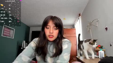 Next stream  950 pm Colombia time xd online show from February 2025 10:09:02 PM