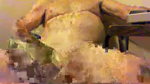 Snapshot of _pervin_ chatting on February 2025 02:51:02 AM pervin online show from February 2025 02:51:02 AM