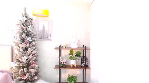 Sassy Girl online show from December 2024 12:27:01 AM