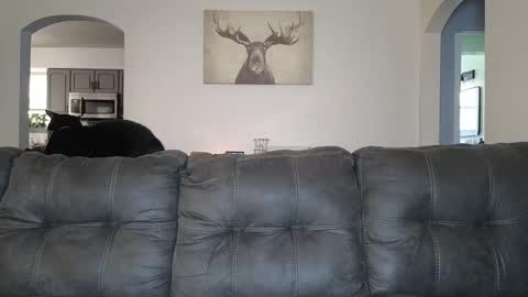 Snapshot of _sophia_grace_ chatting on October 2025 04:37:01 PM SophiaGraceKnight online show from October 2025 04:37:01 PM