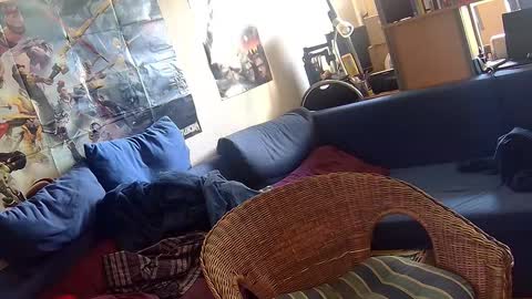 Snapshot of _svenerd87___ chatting on October 2025 11:07:01 AM Sven online show from October 2025 11:07:01 AM