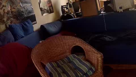 Snapshot of _svenerd87___ chatting on October 2025 01:23:04 PM Sven online show from October 2025 01:23:04 PM