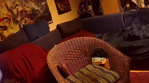 Snapshot of _svenerd87___ chatting on November 2025 05:36:02 PM Sven online show from November 2025 05:36:02 PM