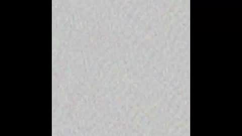 _tammarra_ online show from October 2025 08:00:02 PM