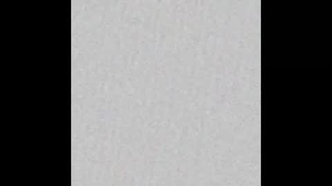 _tammarra_ online show from November 2025 11:51:02 AM