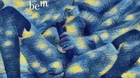 Evi online show from January 2025 10:28:01 PM