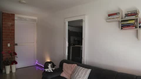 Anastasia Vahos online show from May 2026 05:20:01 PM