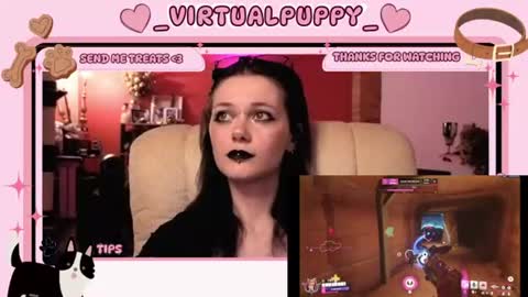 puppy online show from August 2026 11:51:01 PM