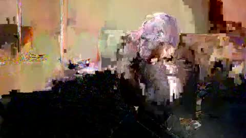 Nicole  Thomas  Dave online show from May 2026 08:59:02 PM
