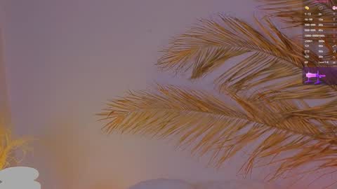 Snapshot of a1ly chatting on December 2024 04:04:02 PM Ally online show from December 2024 04:04:02 PM