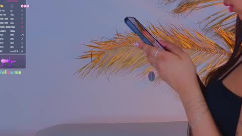 Snapshot of a1ly chatting on February 2025 03:39:02 PM Ally online show from February 2025 03:39:02 PM