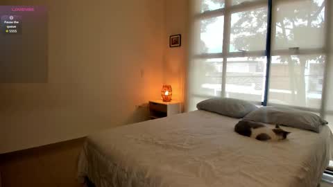 Aaron online show from March 2026 04:12:02 PM