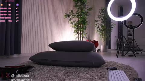 Alexa online show from January 2025 12:40:01 PM