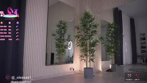 Alexa online show from February 2025 09:42:02 AM