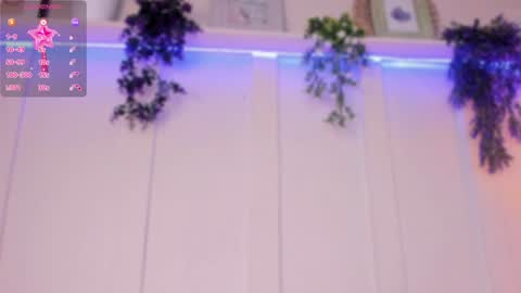 abbie online show from December 2024 11:35:01 PM