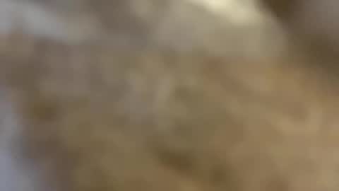 Snapshot of abbyjacksonn_ chatting on December 2024 10:50:02 AM ABBY online show from December 2024 10:50:02 AM