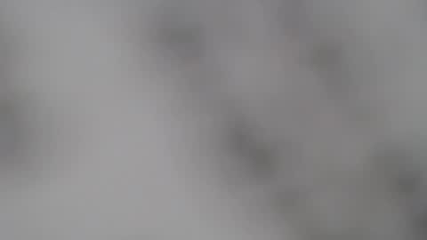 Snapshot of abbyjacksonn_ chatting on February 2025 01:00:02 PM ABBY online show from February 2025 01:00:02 PM