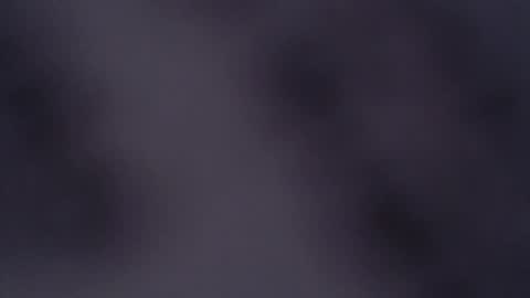 Snapshot of abbyjacksonn_ chatting on February 2025 12:37:01 PM ABBY online show from February 2025 12:37:01 PM