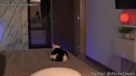 abie_owen online show from September 2025 09:09:02 PM