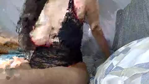 abril2026 online show from February 2026 12:36:01 AM