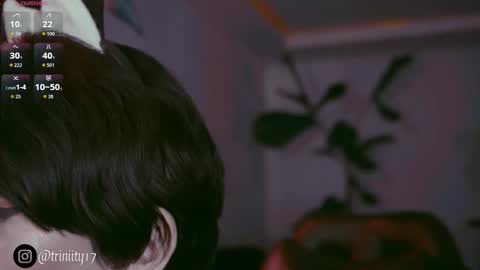 April  online show from December 2025 10:06:01 PM