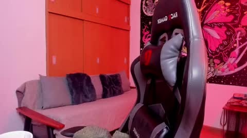 Ali Next Stream  01122024 - GMT-5  online show from February 2026 01:10:02 AM