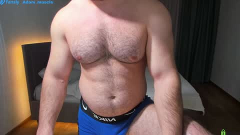 Snapshot of adam_muscle_ chatting on February 2025 03:04:01 PM Adam online show from February 2025 03:04:01 PM
