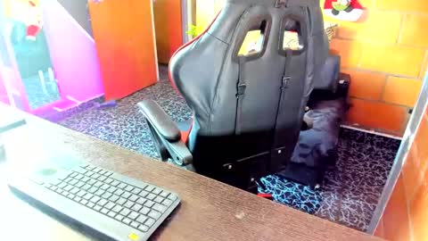 Adam Valencia online show from December 2024 04:34:01 PM