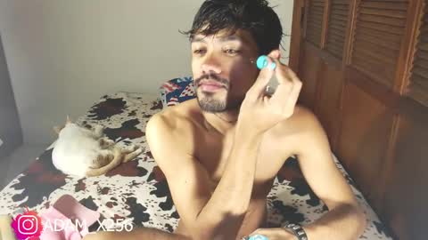 Snapshot of adam_x256 chatting on January 2025 12:38:02 PM instagram adam x256 online show from January 2025 12:38:02 PM