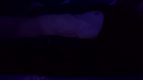 adamllamas online show from March 2025 07:49:02 AM