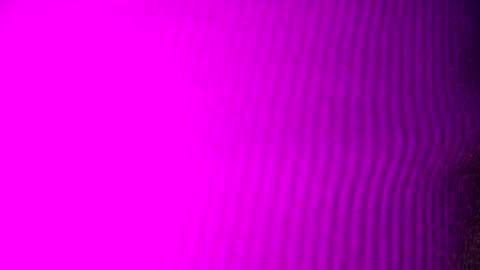 adamllamas online show from September 2025 04:56:01 AM