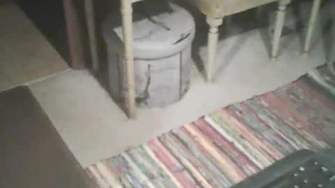 adamsny online show from September 2025 07:54:01 AM