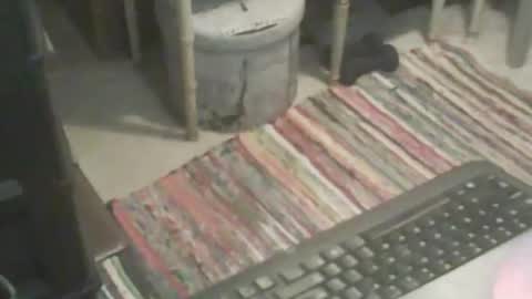 adamsny online show from November 2025 06:55:01 AM