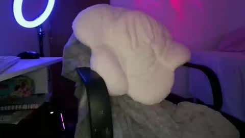 Adara online show from February 2026 09:08:02 PM