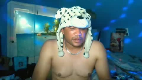 Snapshot of adoniswoody chatting on June 2026 03:00:01 AM Adonis XDDDDDDDD Woody online show from June 2026 03:00:01 AM