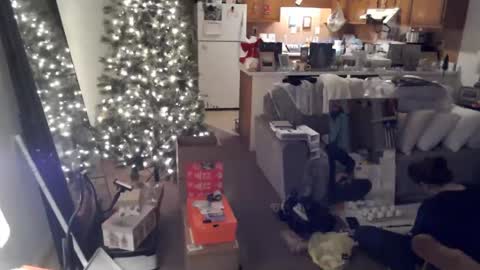 Snapshot of adorable22 chatting on December 2024 10:22:01 PM adorable22 online show from December 2024 10:22:01 PM