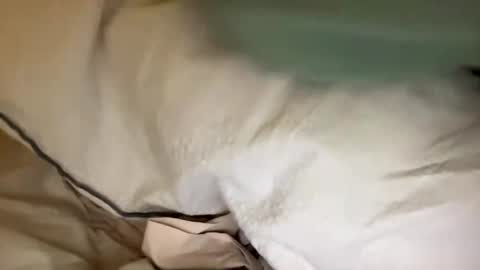 Snapshot of adriiii7878 chatting on January 2025 08:11:02 PM adriiiii online show from January 2025 08:11:02 PM