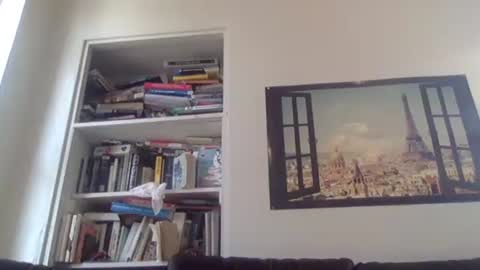 aesthetic form online show from April 2026 08:47:01 PM