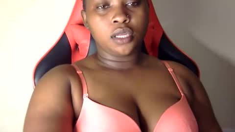 stella online show from October 2025 04:02:01 PM