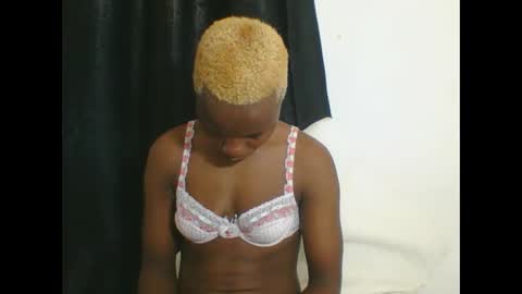 PHOEBE online show from October 2025 11:40:01 AM