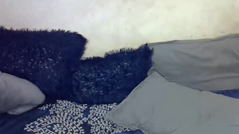 afrii_kity online show from April 2026 03:42:01 AM