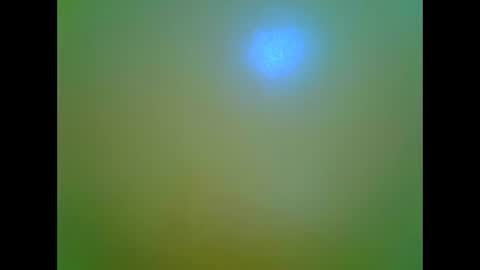 afrikana005 online show from April 2026 03:42:02 PM