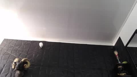  Miss Agata  online show from February 2026 05:28:01 PM