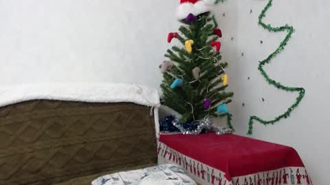 Snapshot of agatha_moore_ chatting on January 2025 11:52:01 AM Agatha online show from January 2025 11:52:01 AM