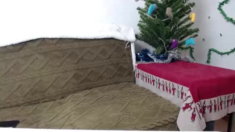 Snapshot of agatha_moore_ chatting on January 2025 03:39:01 PM Agatha online show from January 2025 03:39:01 PM